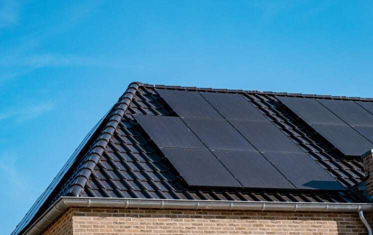 Solar Networks | Domestic Solar Panels